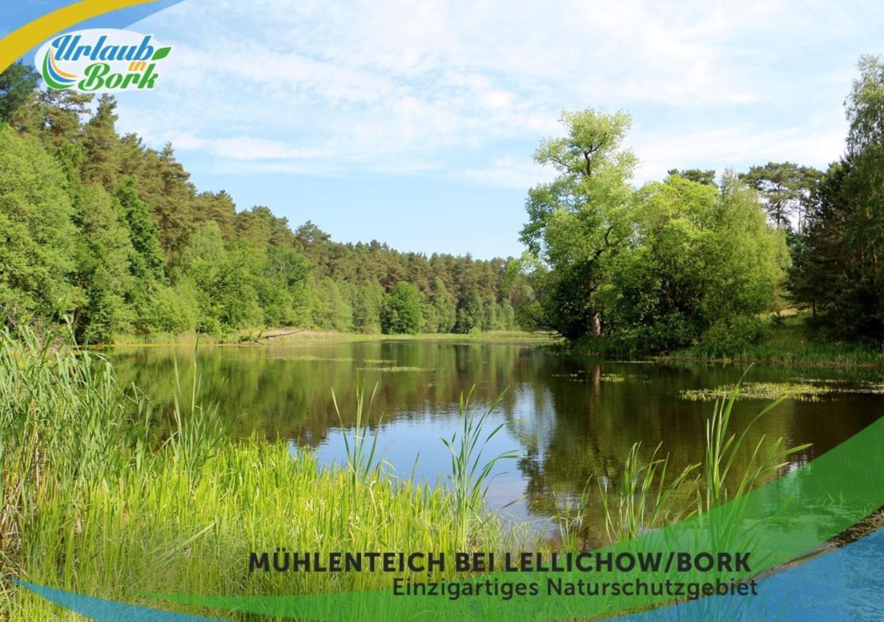 Jagd-Angler-Suite-04-Im-Wald-Am-See Kyritz Eksteriør bilde